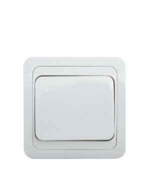 מפסק חילוף תחת הטיח