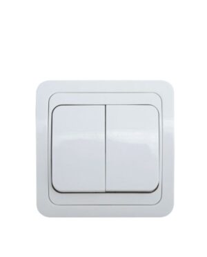 מפסק כפול תחת הטיח